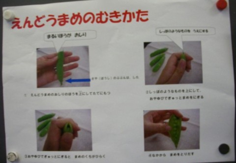 豆のむき方の説明
