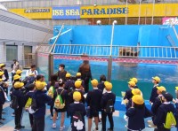 シーパラダイス１