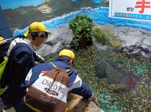 シーパラダイス２