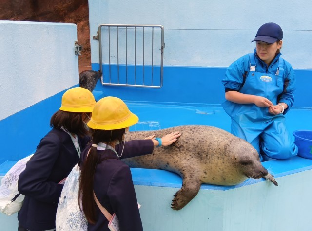 シーパラダイス３